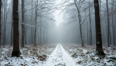 Опасные погодные явления надвигаются на Воронежскую область