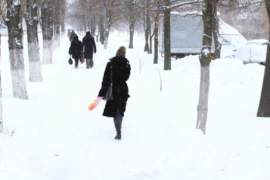 Прогноз погоды в Воронеже на понедельник, 16 декабря