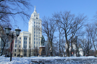 Жуткая массовая авария и уникальная операция. Главные новости Воронежа и области за 17 декабря