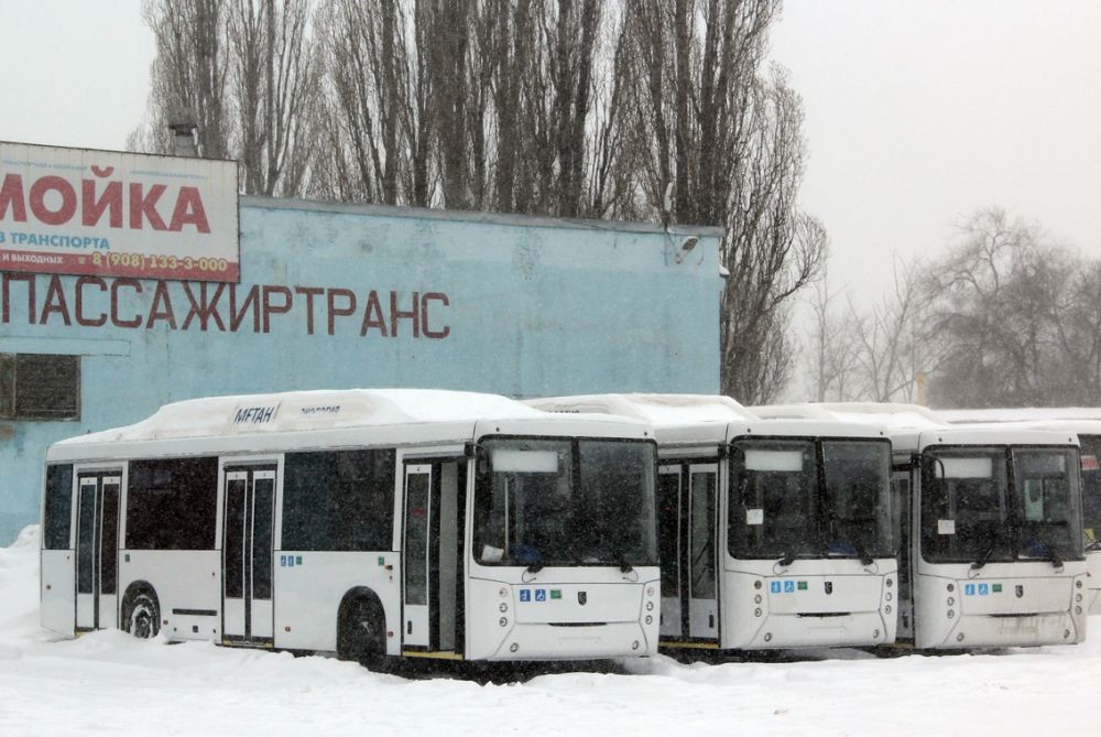 Воронежпассажиртранс карта в стоп листе