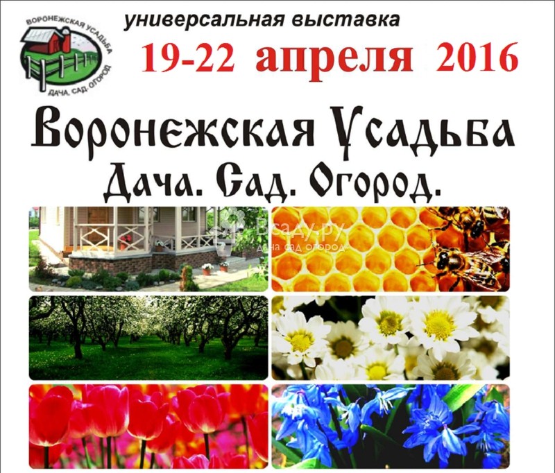 Магазин Твоя Усадьба Воронеж Официальный Сайт
