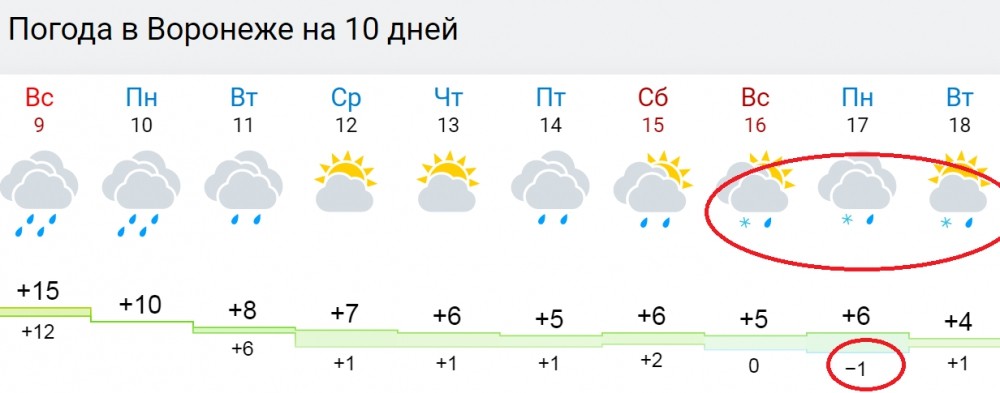 Прогноз сегодня балашиха. Погода в Воронеже. Погода в Балашихе. Климат Балашихи. Погода в Балашихе на сегодня.