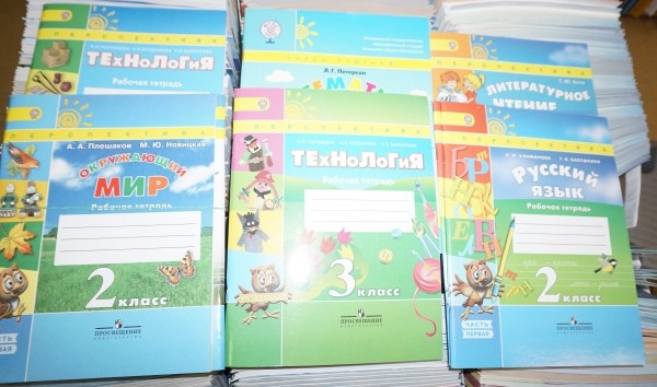 Мэрия Воронежа: «Школа не имеет права заставлять родителей покупать рабочие тетради к учебникам»