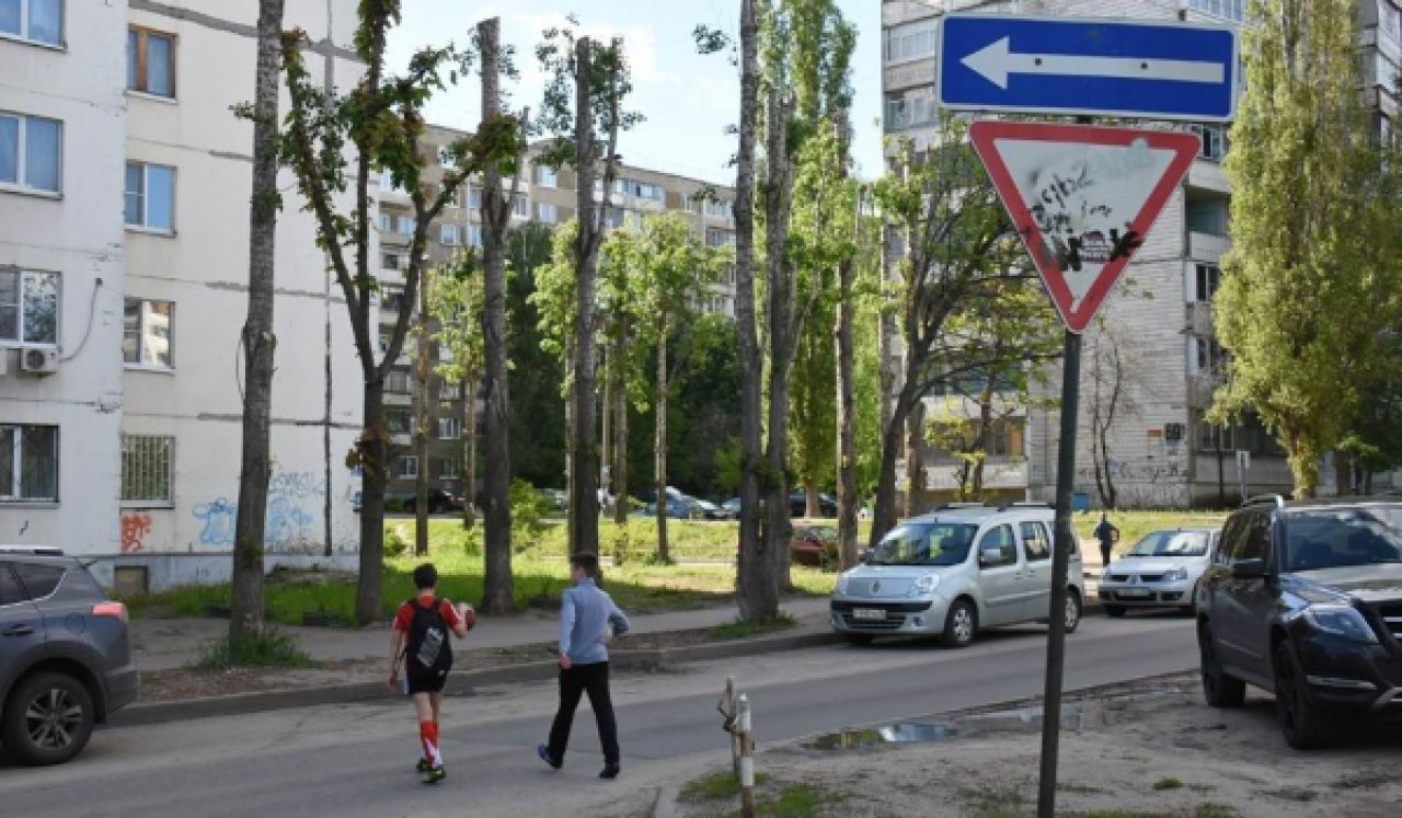 «Наших детей сбивают у школы, как кегли»