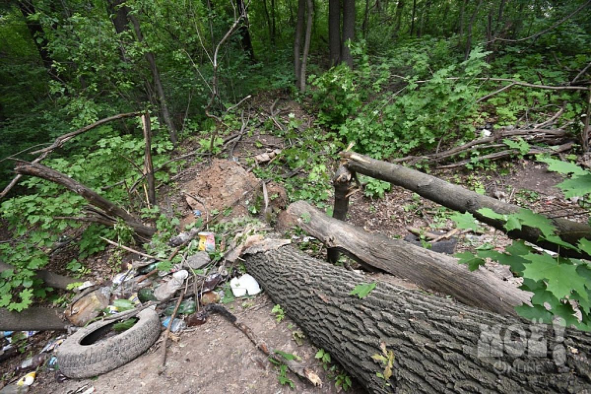Место, где нашли труп Кати Череповецкой. Тело присыпали ветками и мусором