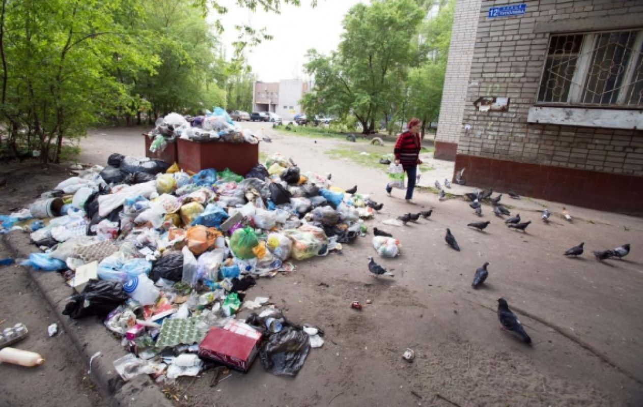 Корреспонденты «МОЁ!» нашли самый вонючий дом в Воронеже