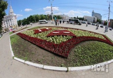 В Воронеже зацветут 25 тысяч квадратных метров клумб