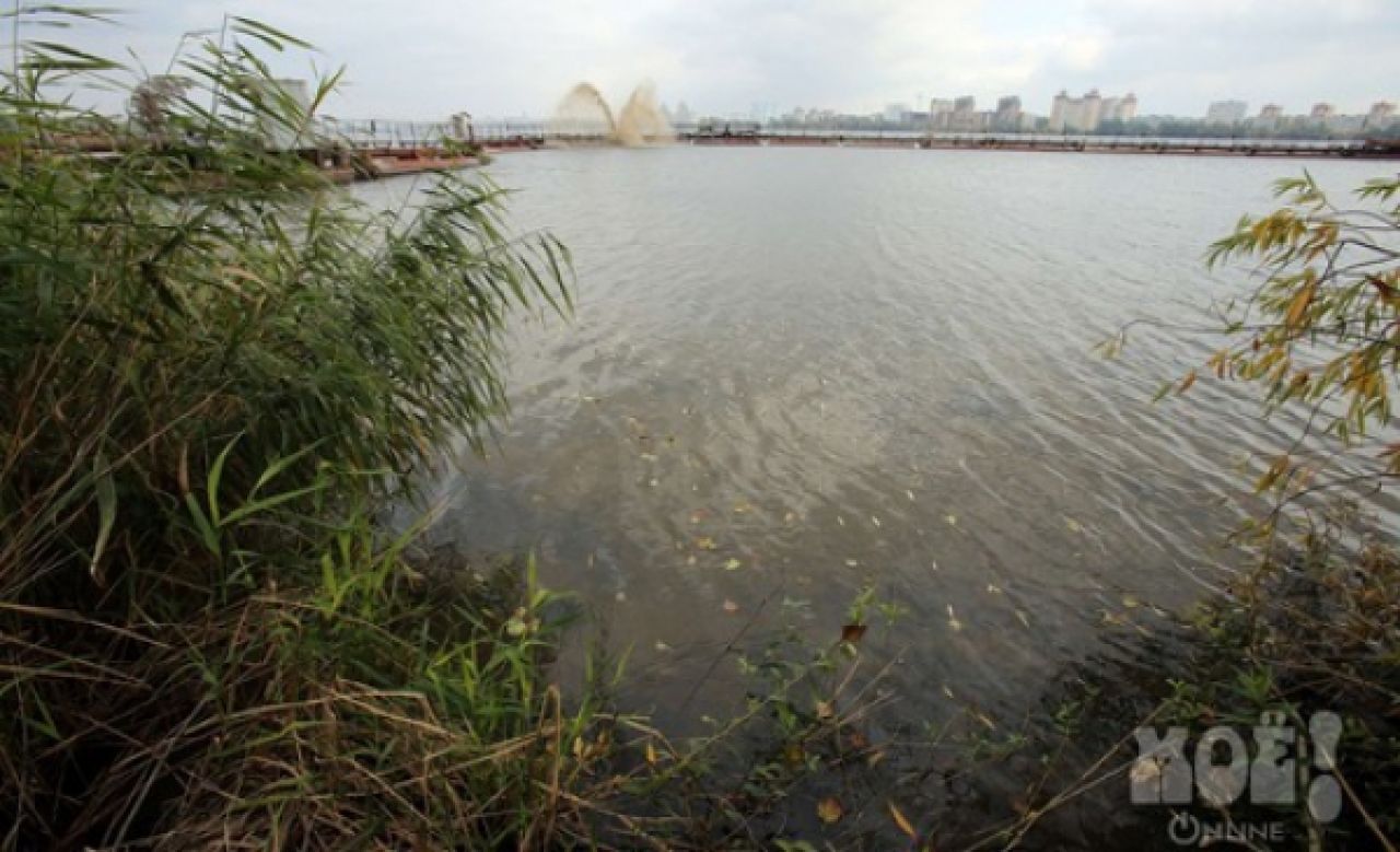 На расчистку Воронежского водохранилища выделят 200 млн рублей