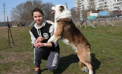 В Воронеже собак теперь учат танцам (ВИДЕО)