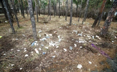 В парке «Танаис» «Поляна сказок» превратилась в царство мусора