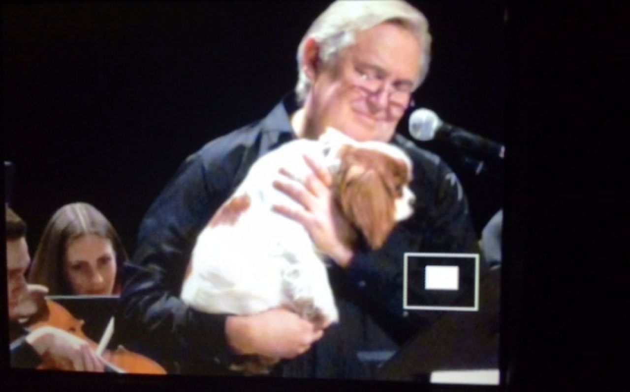 Юрий Стоянов в Воронеже