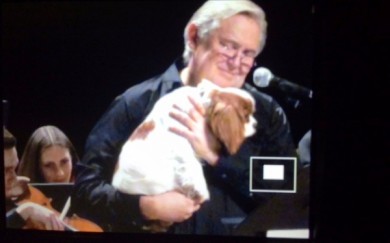 Юрий Стоянов в Воронеже вынес на сцену живого щенка