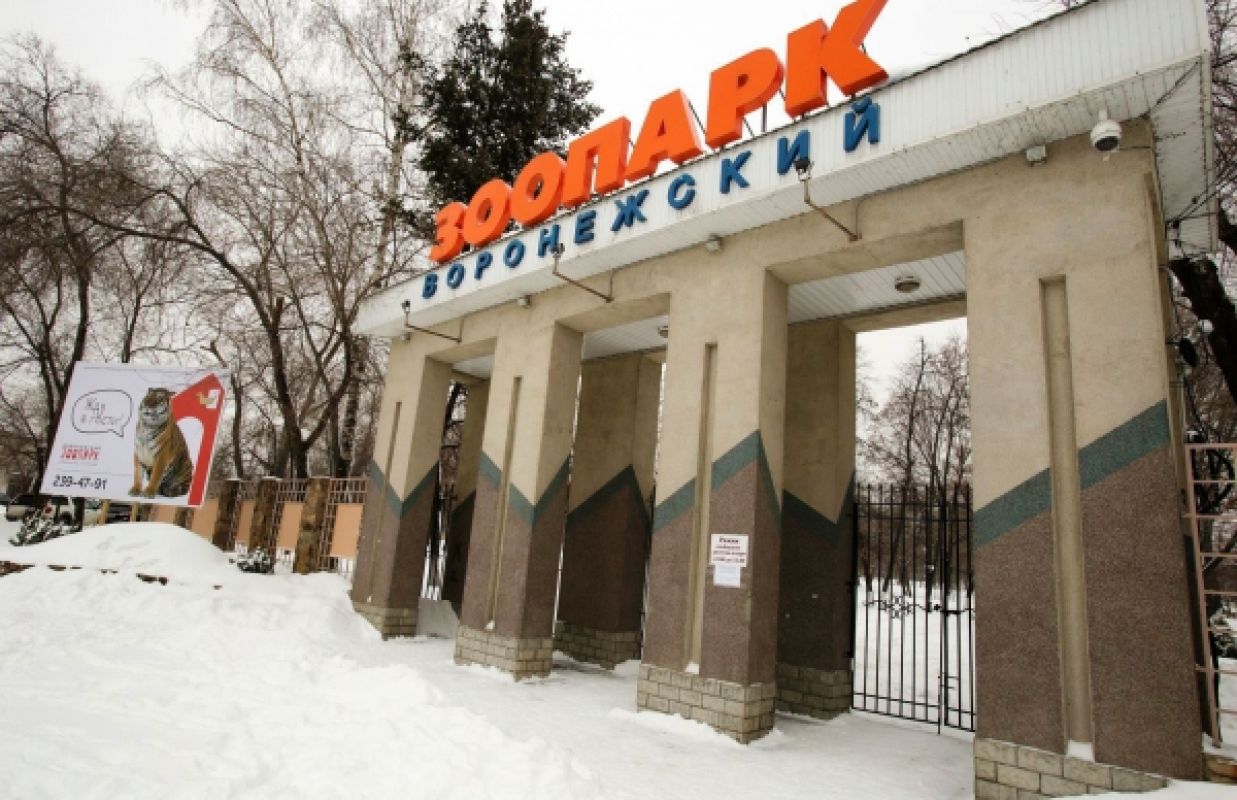 Воронежский зоопарк