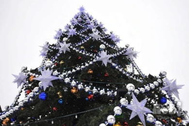 Главная ёлка Воронежа попала в Книгу рекордов России как самая высокая в стране