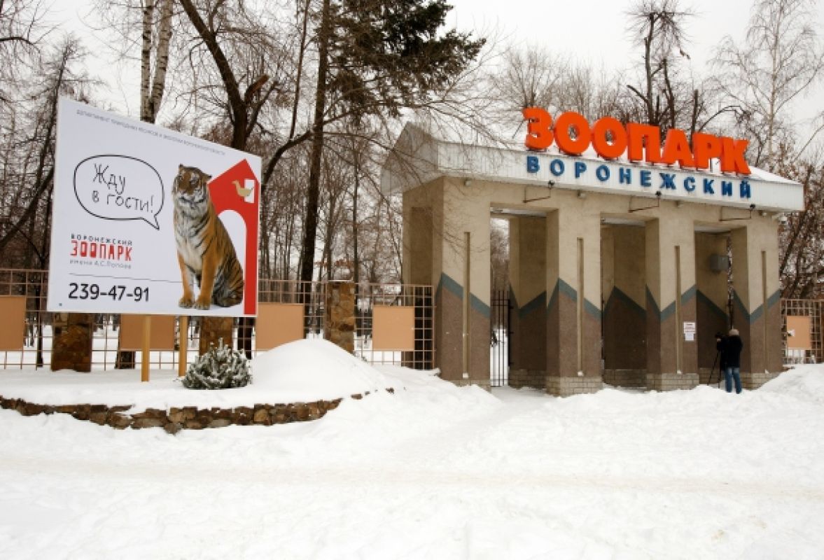 Из-за ЧП в воронежском зоопарке от посетителей закрыли парк Авиастроителей