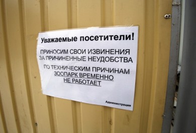 У одного из сотрудников воронежского зоопарка нашли вирус гриппа