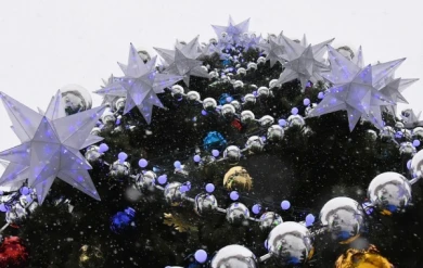 В чём могла быть истинная причина чехарды с покупкой главной ёлки Воронежа за 7,2 миллиона рублей