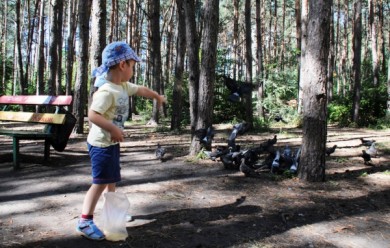 Воронеж получит новый парк в Северном микрорайоне