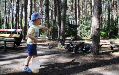 Воронеж получит новый парк в Северном микрорайоне