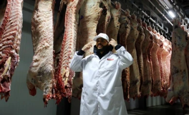 Тимати в Воронеже устроил кровавую фотосессию и ел сырое мясо