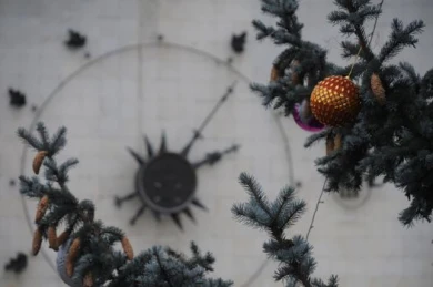 Загаданные в Новый год желания сбылись у 19,5% воронежцев