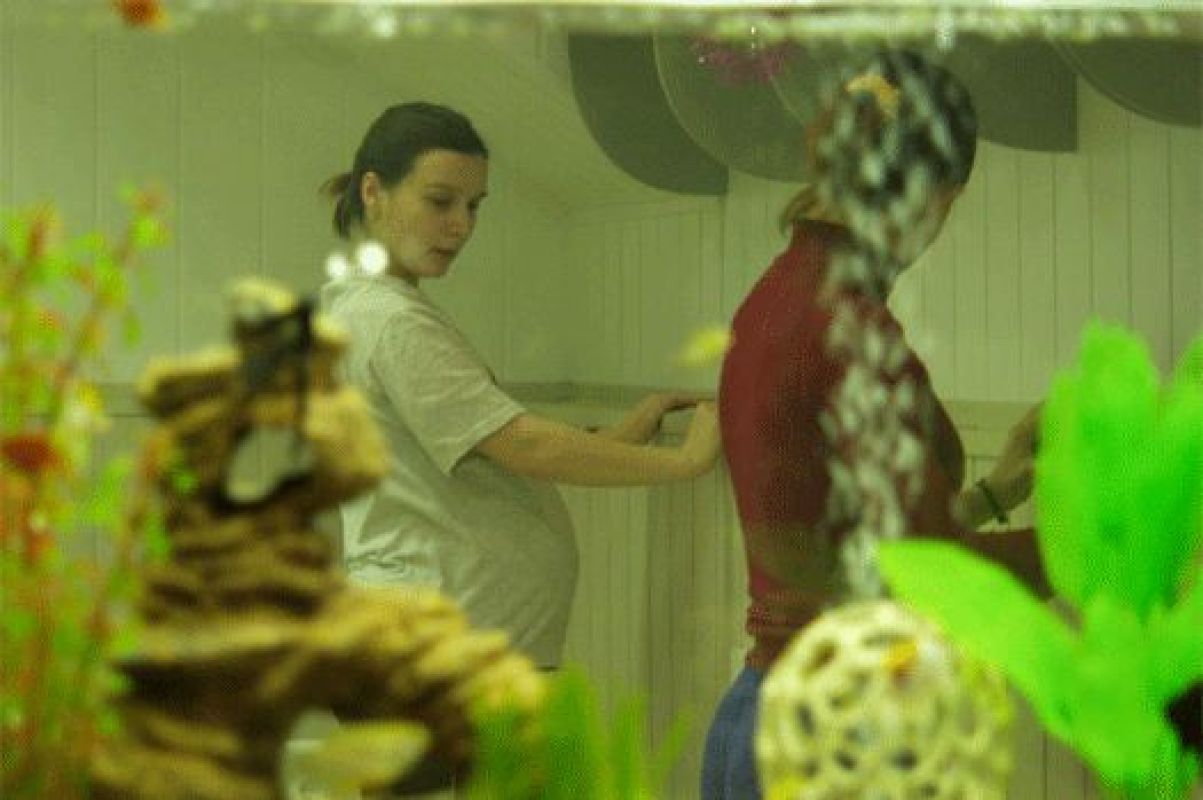 Роддом, который закрывали из-за протекшей крыши, снова начал работать