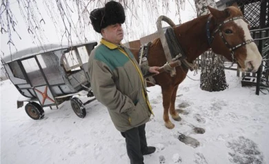 Житель Воронежской области изобрёл экологичный транспорт: карету-авто