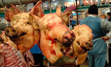 Бобровский мясокомбинат оштрафовали за нарушение ветеринарного законодательства