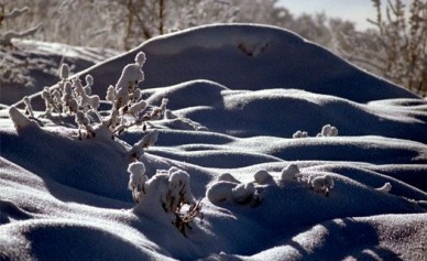 Аномальные холода простоят в Воронеже до середины февраля