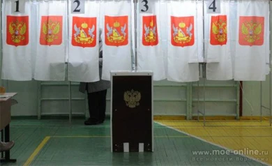 Все урны на участках в Воронеже станут прозрачными