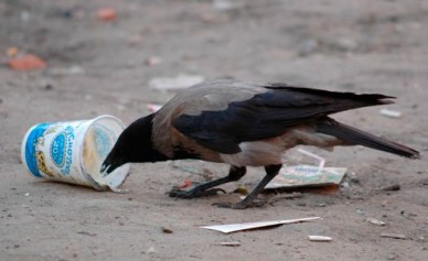 Воронежская область - на 50 месте в экологическом рейтинге регионов России