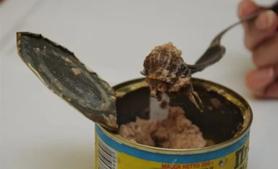 Жительница Воронежа в банке с печенью трески обнаружила водяного таракана