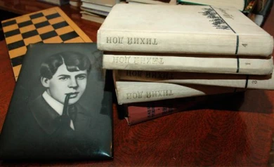 Воронежские библиотеки на один день откроют доступ к своим фондам