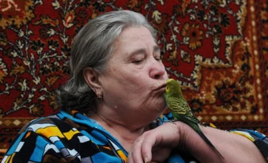 Воронежская пенсионерка тренирует для «Минуты славы» «гениального» попугая