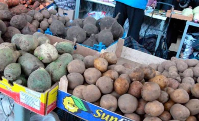 В Воронеже пройдёт первая весенняя продуктовая ярмарка