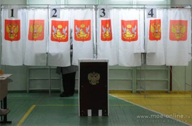 В Воронежской области более 17 тыс. человек вошли в состав участковых избиркомов