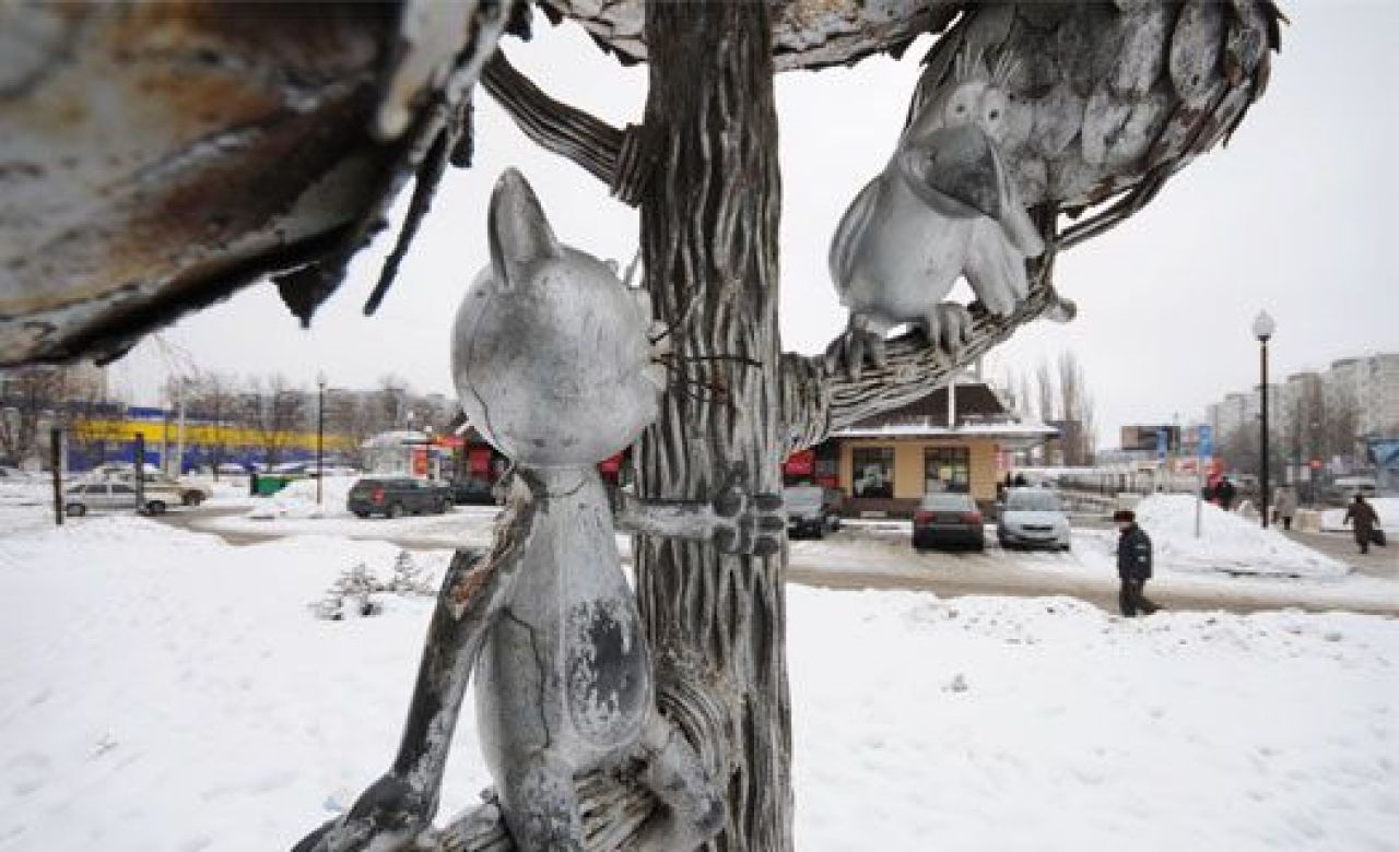 У Котёнка с улицы Лизюкова оторвали лапу