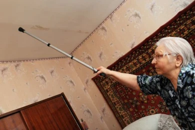 Воронежцы судятся с соседкой,  устроившей в квартире приют для десятков кошек и собак