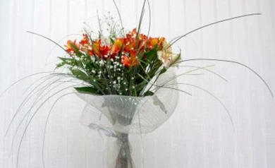 Женщины Воронежа были бы рады получить поздравления от президентов