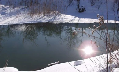 В Левобережном районе Воронежа  из-за половодья могут пострадать 116 домов