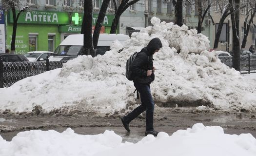 Непогода в Воронеже: повалены десятки деревьев, затоплены улицы