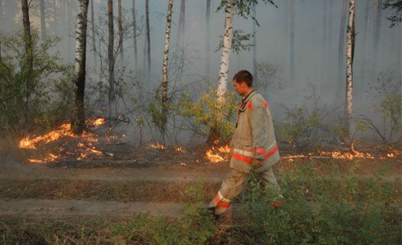 К концу года число добровольных пожарных в воронежских вузах вырастет до 12 000