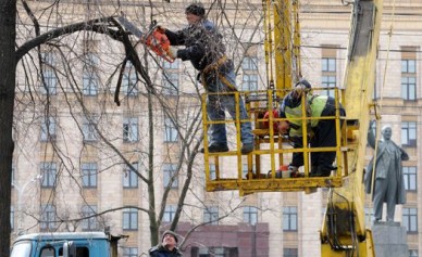 В субботнике в Воронеже участвовали почти 2 тысячи работников госучреждений