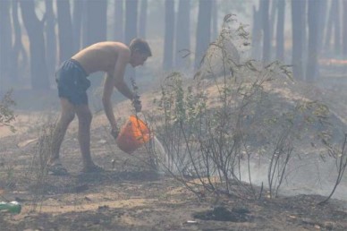 В Нововоронеже оштрафовали парня, спровоцировавшего лесной пожар