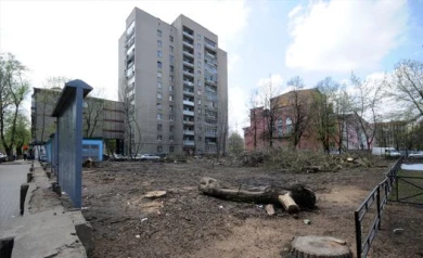 Мэрия объяснила вырубку деревьев в сквере на Фридриха Энгельса  санитарными мерами