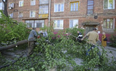 Ураган завалил деревьями вход в подъезд дома на ул. Ленинградской