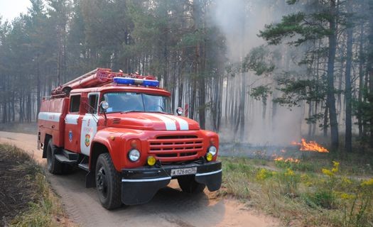 Всей территории Воронежской области присвоен максимальный класс пожарной опасности