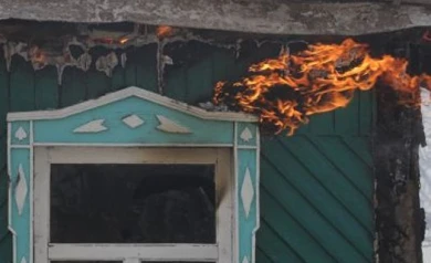 В Воронеже пройдет экологическая акция «АнтиПАЛыч»