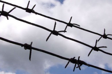 В Воронежской области уличной торговке грозит 8 лет тюрьмы за взятку полицейском...