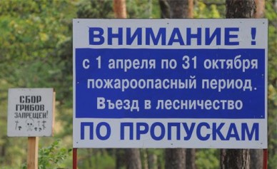 Воронежцам запретили въезд в леса